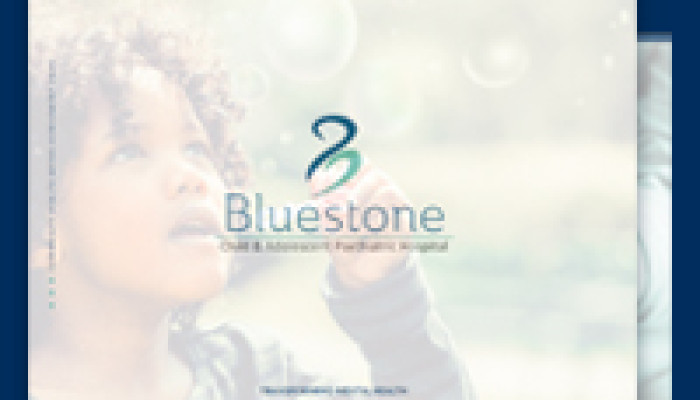 Bluestone Releases Community Health Needs Assessment