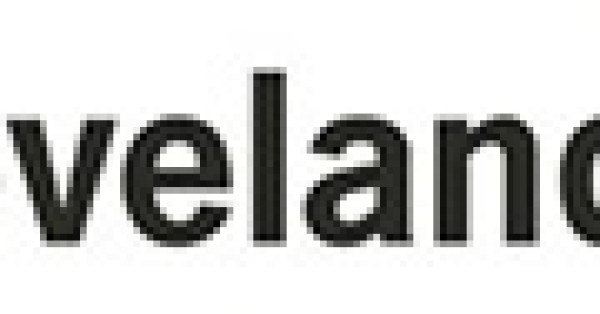 Collaboration with Cleveland Clinic on Financial Leadership Program Presentation