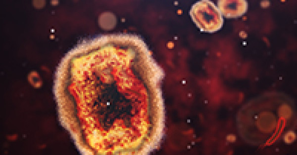Monkeypox: Updated CDC Data On Vaccines and Cases