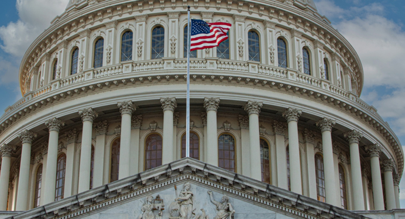Healthcare Advocacy Building Flag - WellLink Health Alliance