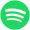 spotify icon